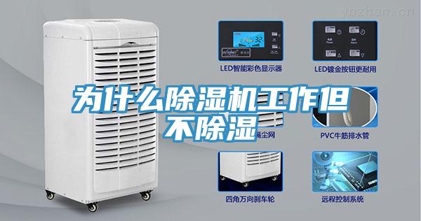 為什麽91看片网站工作但不除濕