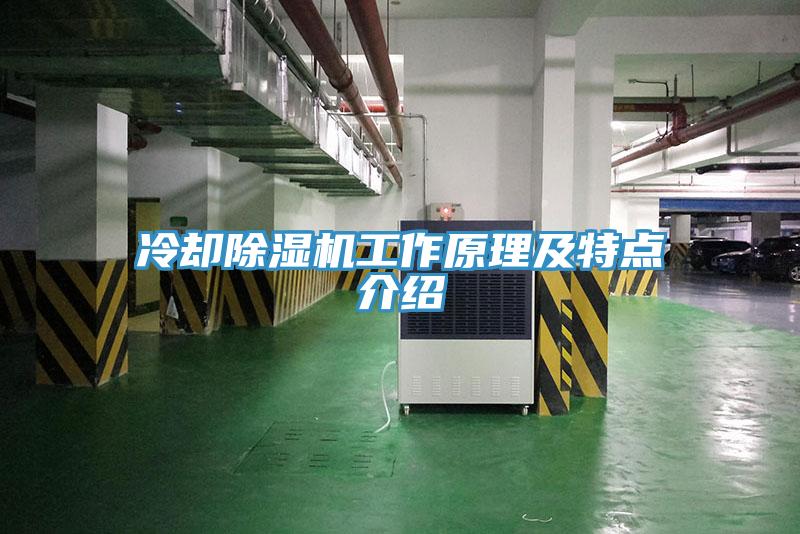 冷卻91看片网站工作原理及特點介紹