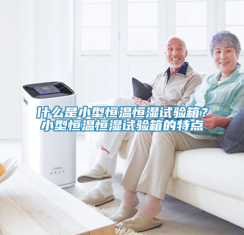 什麽是小型恒溫恒濕試驗箱？小型恒溫恒濕試驗箱的特點