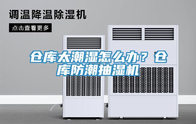倉庫太潮濕怎麽辦？倉庫防潮抽濕機