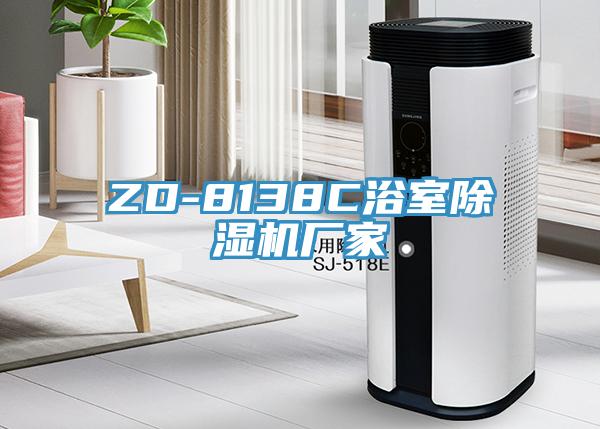 ZD-8138C浴室91看片网站廠家