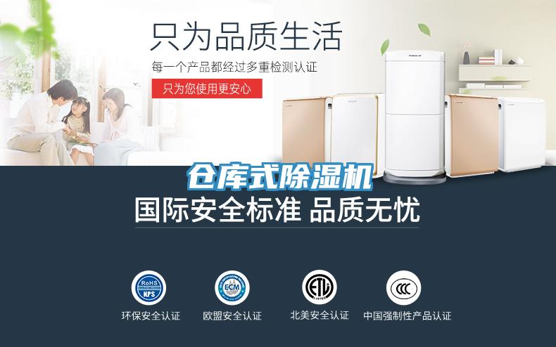 倉庫式91看片网站
