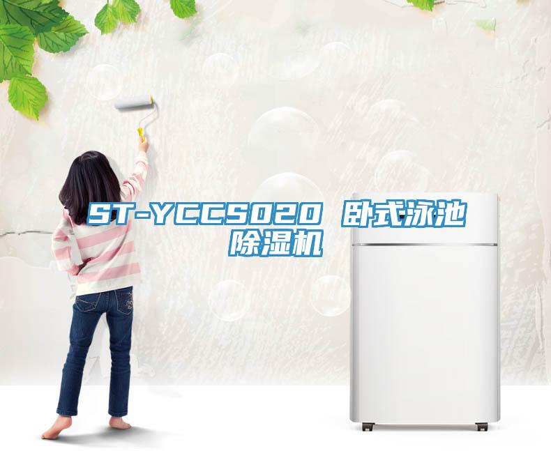 ST-YCCS020 臥式泳池91看片网站