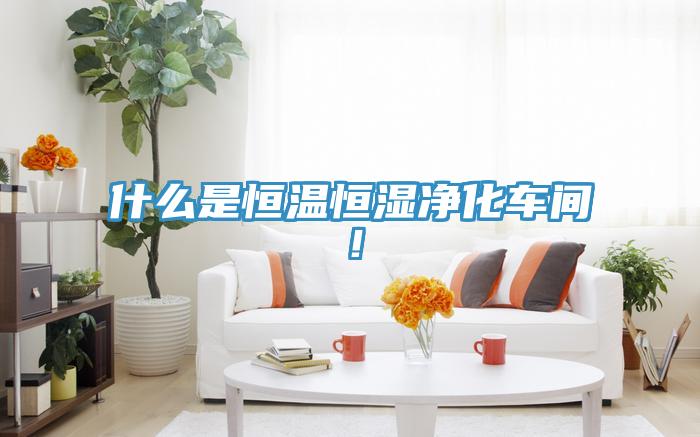 什麽是恒溫恒濕淨化車間！