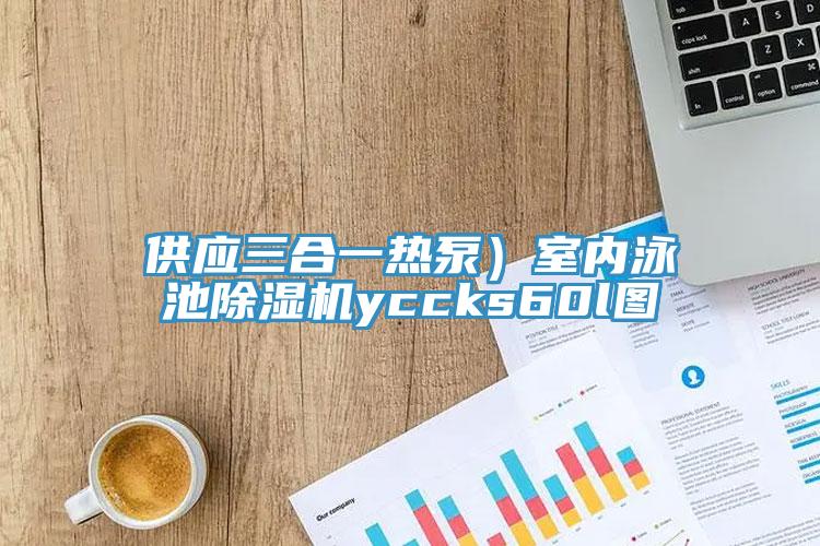供應三合一熱泵）室內泳池91看片网站yccks60l圖