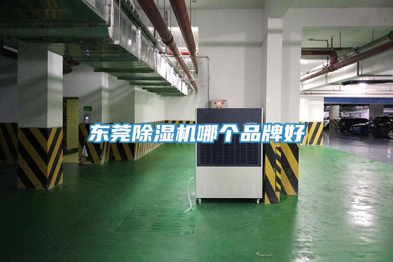 東莞91看片网站哪個品牌好