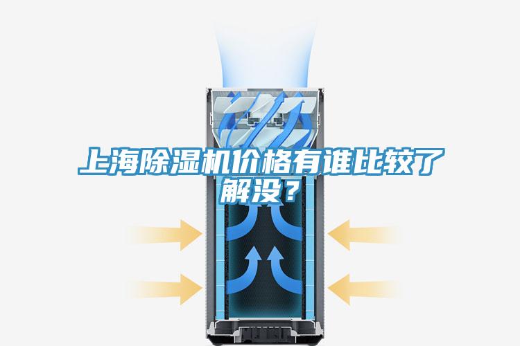 上海91看片网站價格有誰比較了解沒？
