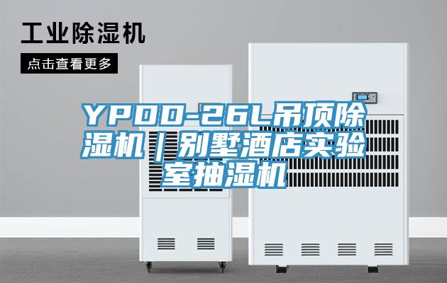 YPDD-26L吊頂91看片网站｜別墅酒店實驗室抽濕機