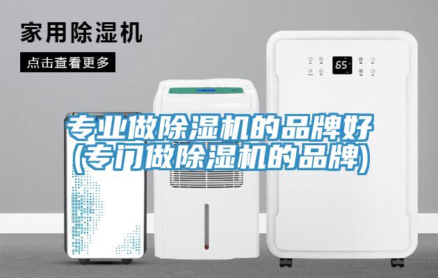 專業做91看片网站的品牌好(專門做91看片网站的品牌)