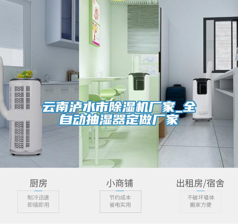 雲南瀘水市91看片网站廠家_全自動抽濕器定做廠家