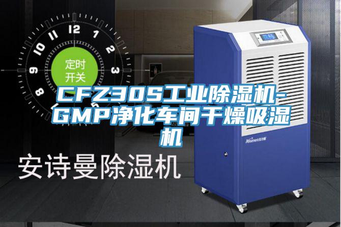 CFZ30S工業91看片网站-GMP淨化車間幹燥吸濕機