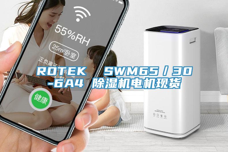 ROTEK  SWM65／30-6A4 91看片网站電機現貨