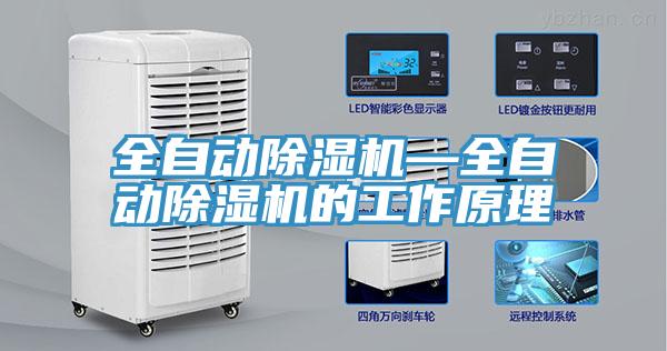 全自動91看片网站—全自動91看片网站的工作原理