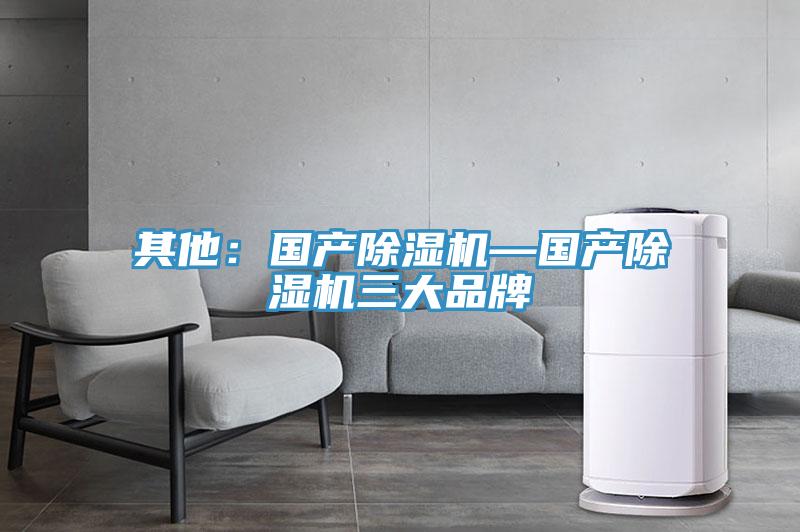 其他：國產91看片网站—國產91看片网站三大品牌