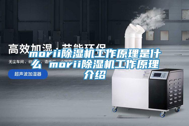 morii91看片网站工作原理是什麽 morii91看片网站工作原理介紹
