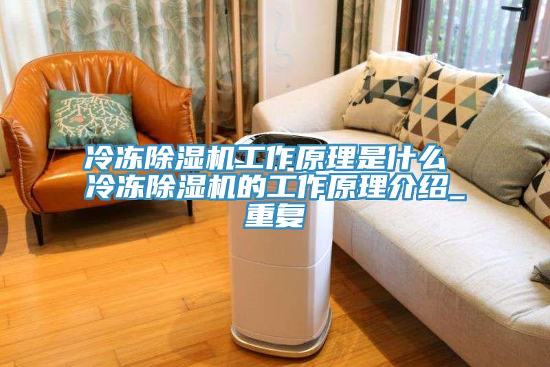 冷凍91看片网站工作原理是什麽 冷凍91看片网站的工作原理介紹_重複