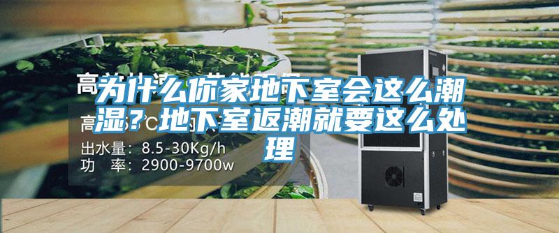 為什麽你家地下室會這麽潮濕？地下室返潮就要這麽處理