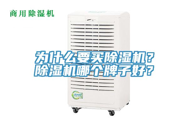 為什麽要買91看片网站？91看片网站哪個牌子好？