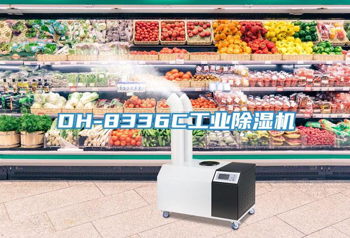 DH-8336C工業91看片网站