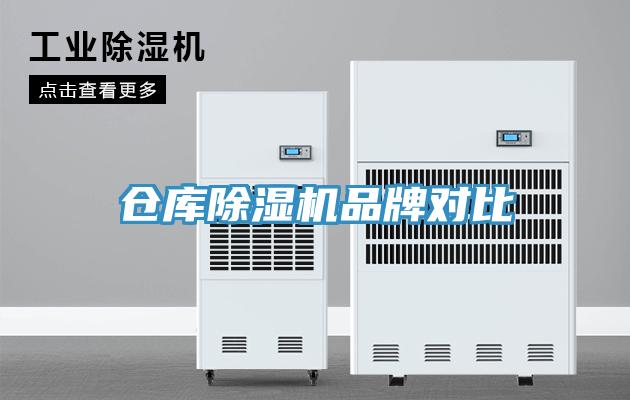 倉庫91看片网站品牌對比