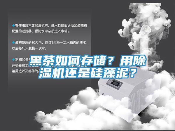 黑茶如何存儲？用91看片网站還是矽藻泥？