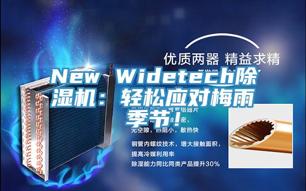 New Widetech91看片网站：輕鬆應對梅雨季節！