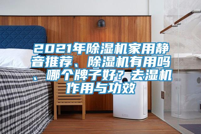 2021年91看片网站家用靜音推薦、91看片网站有用嗎、哪個牌子好？去濕機作用與功效