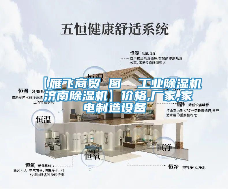 【雁飛商貿 圖  工業91看片网站 濟南91看片网站】價格,廠家,家電製造設備