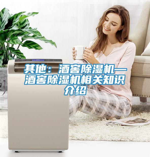 其他：酒窖91看片网站—酒窖91看片网站相關知識介紹