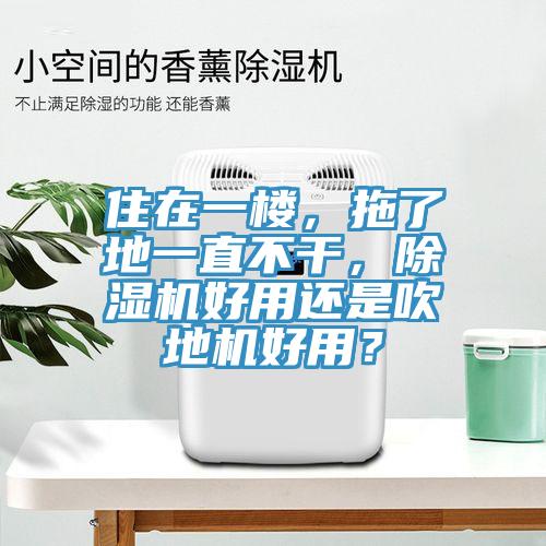 住在一樓，拖了地一直不幹，91看片网站好用還是吹地機好用？