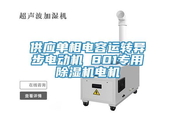供應單相電容運轉異步電動機 801專用91看片网站電機