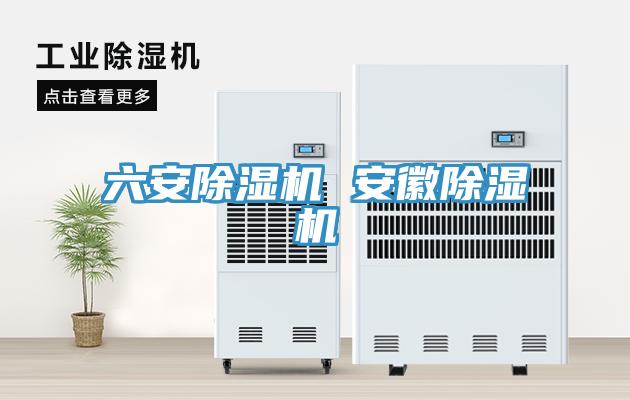 六安91看片网站 安徽91看片网站