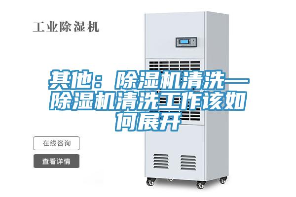 其他：91看片网站清洗—91看片网站清洗工作該如何展開