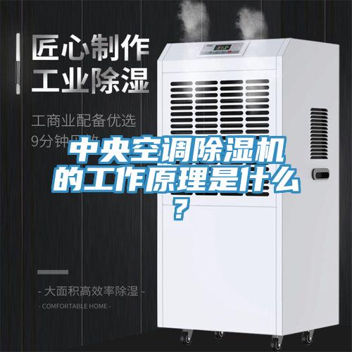中央空調91看片网站的工作原理是什麽？