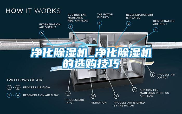 淨化91看片网站_淨化91看片网站的選購技巧