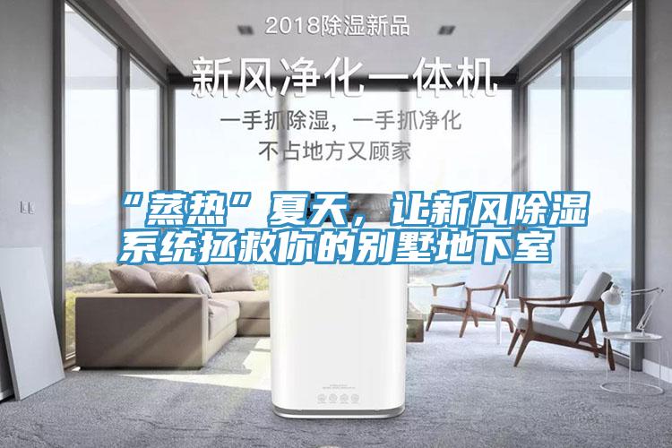 “蒸熱”夏天，讓新風除濕係統拯救你的別墅地下室
