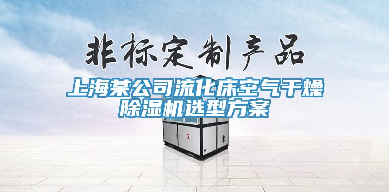 上海某公司流化床空氣幹燥91看片网站選型方案