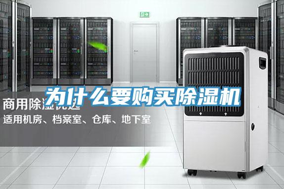 為什麽要購買91看片网站