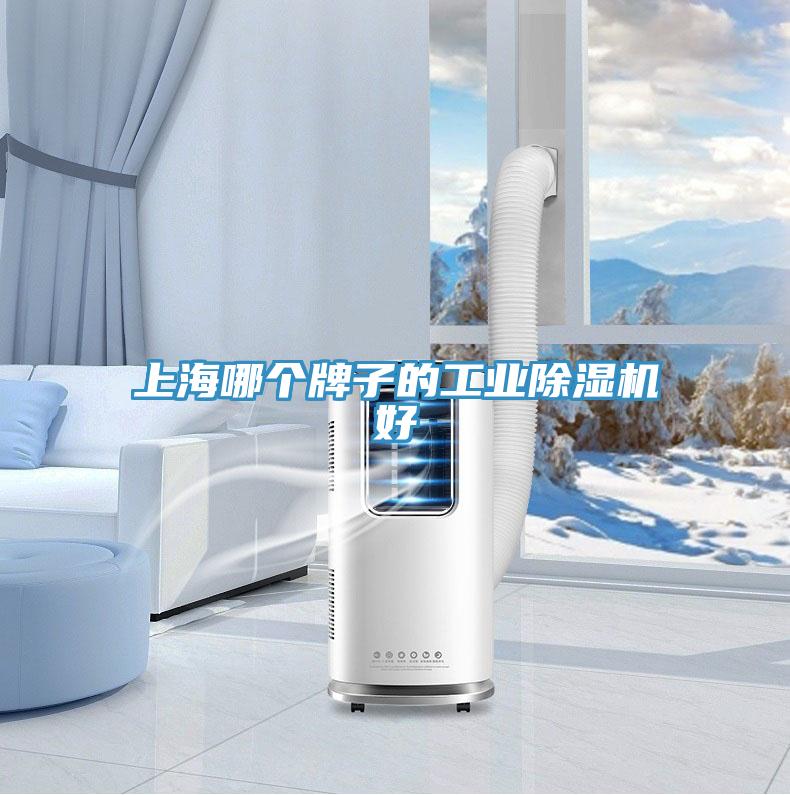 上海哪個牌子的工業91看片网站好