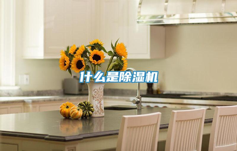 什麽是91看片网站