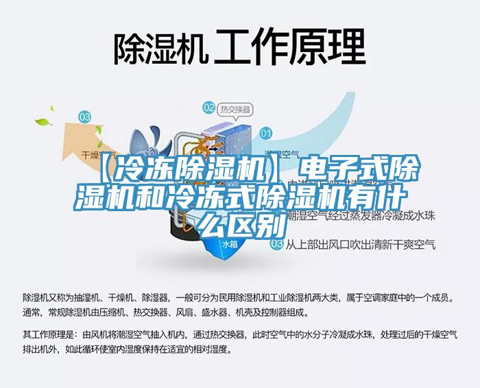 【冷凍91看片网站】電子式91看片网站和冷凍式91看片网站有什麽區別