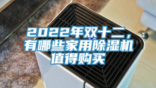2022年雙十二，有哪些家用91看片网站值得購買