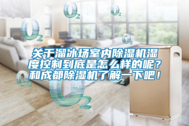 關於溜冰場室內91看片网站濕度控製到底是怎麽樣的呢？和成都91看片网站了解一下吧！