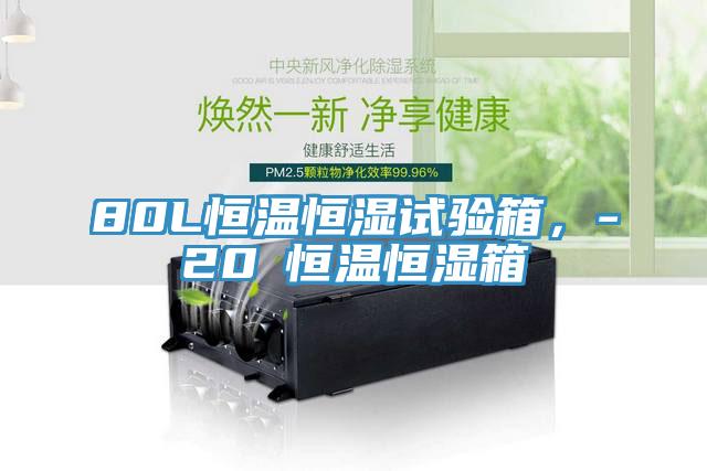 80L恒溫恒濕試驗箱，-20℃恒溫恒濕箱
