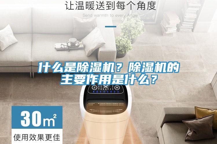 什麽是91看片网站？91看片网站的主要作用是什麽？