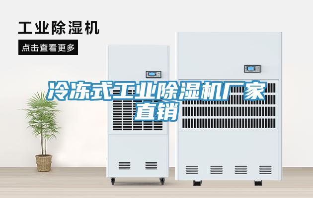 冷凍式工業91看片网站廠家直銷