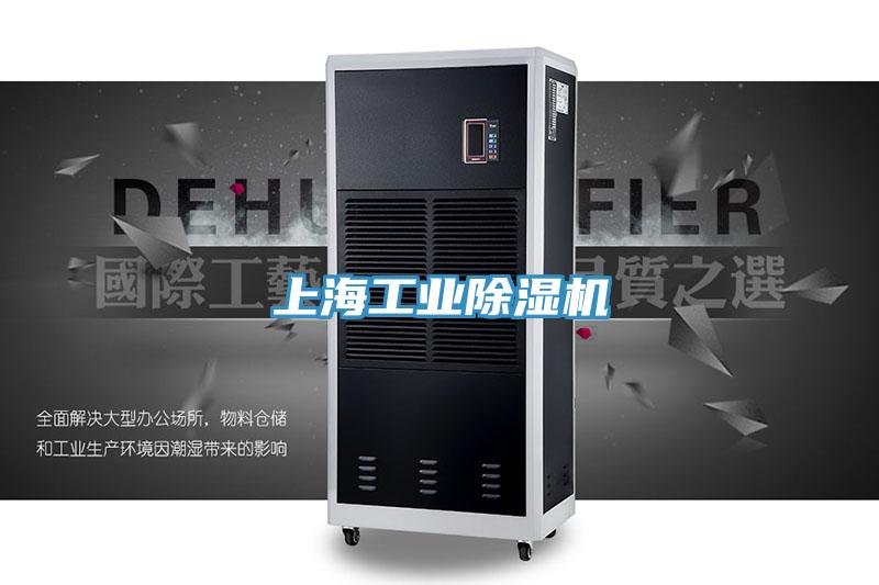 上海工業91看片网站