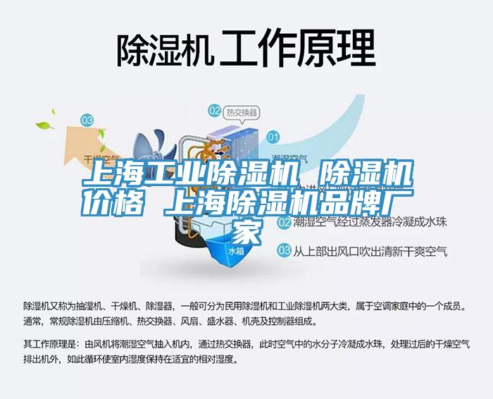 上海工業91看片网站 91看片网站價格 上海91看片网站品牌廠家