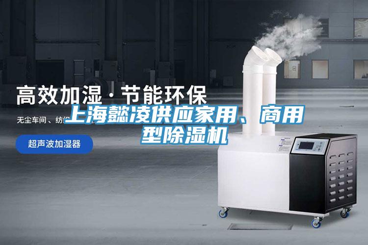 上海懿淩供應家用、商用型91看片网站