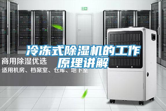 冷凍式91看片网站的工作原理講解